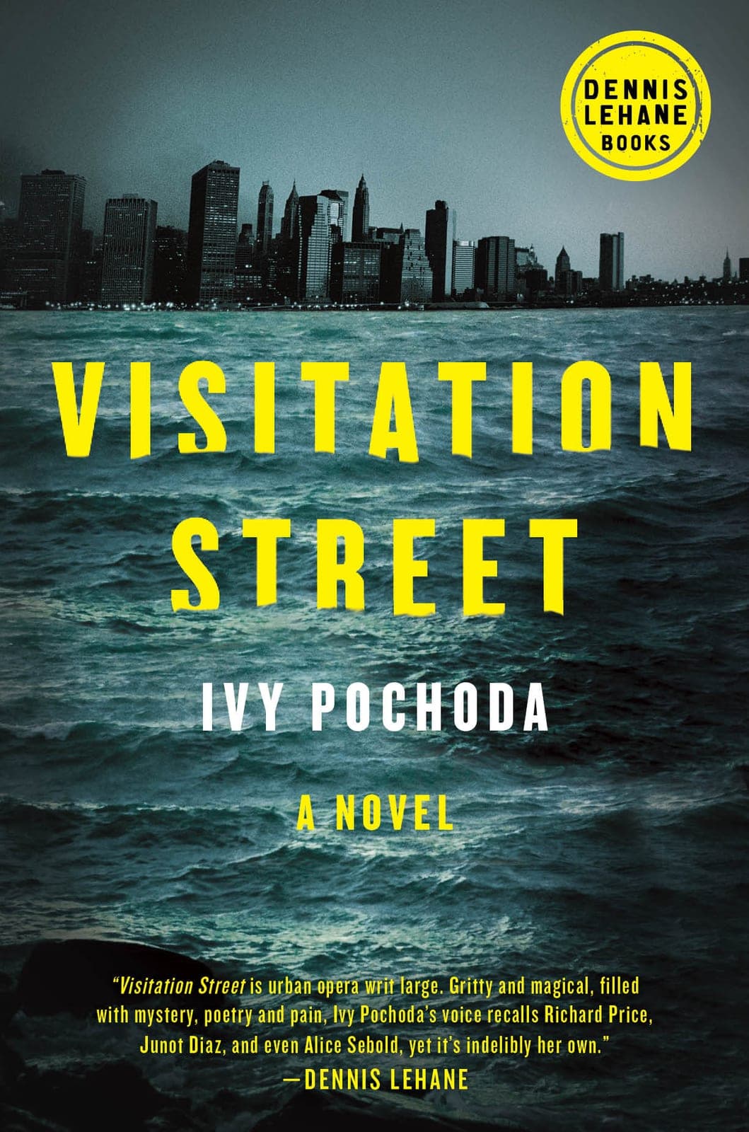 Cover of Visitation Street